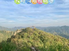 -大岭沟猕猴桃谷风景区