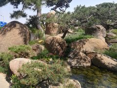 -罗红摄影艺术馆