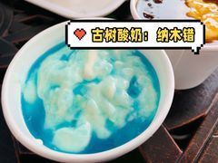 -古树酸奶(八廓南街店)