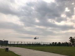 -瑶湖郊野森林公园