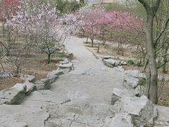 -玩乐大师·奥斯卡(济南店)