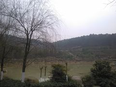 -铁山坪森林公园