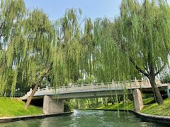 -皇家御河游(紫御湾码头)