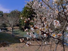 -宝岩生态观光园