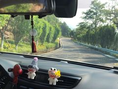 -铁山坪森林公园