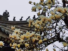 -西安市广仁寺