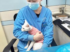 -中农国际动物医院24小时·猫科·骨科·急重症中心