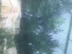 -罗田天堂寨风景区