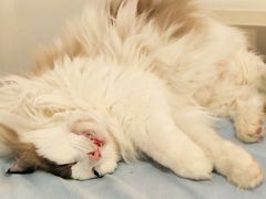 -牛串门串串香(东直门簋街总店)