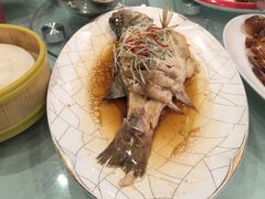 清蒸鱼-老六饭店(翠通路店)