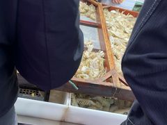 -桃源市场(解放路店)