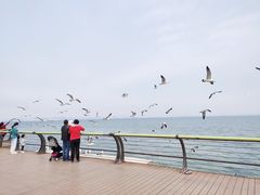 -东港音乐喷泉广场