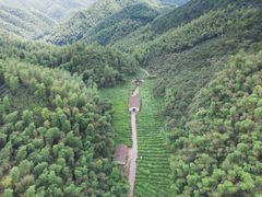 -仙霞关景区