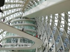 -凤凰中心