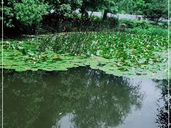 -白马涧龙池景区