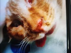 -萌兽医馆·犬猫专科·眼科中心·宠物医院(朝阳门分院)