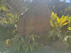 -火炉山森林公园