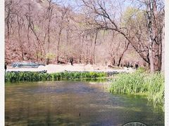 -白水寺森林公园