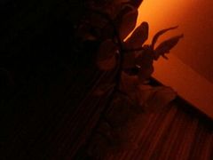android_upload_pic-和子足浴SPA会馆(梁溪店)