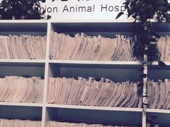 -爱侣宠医·鹦鹉专科·小型哺乳类·异宠专科(灵石路店)