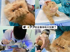 -pd派德宠物中心医院24H急重症·眼科中心·血液透析中心(嵩山北路店)