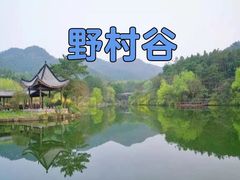 -黄陂区野村谷景区