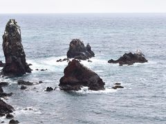 -涉地可支