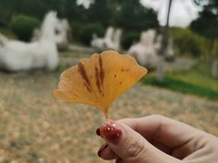 -鹦鹉寺公园