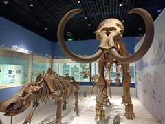 -珠海市博物馆
