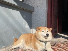 -常熟路(地铁站)