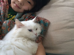 iphone_upload_pic-Anne猫窝咖啡屋