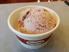 哈根达斯-世纪金源大饭店·金源自助餐厅