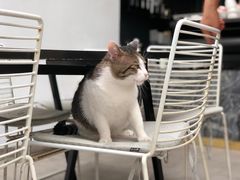 -UNI UNI(环亚凯瑟琳店)