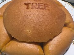 -大树餐厅(红旗街万达店)