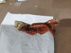 -长平肥姐白粥·海鲜打冷