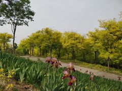 -东郊湿地公园