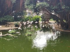 -九龙公园