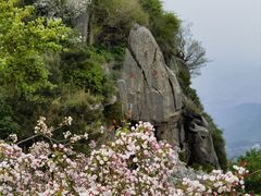 -泰山风景名胜区