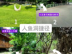 -杨梅坑
