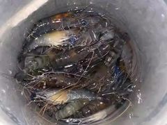 -多抓鱼循环商店(虹桥天地店)