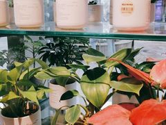 -MUJI无印良品(顺城店)