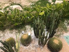 -广东惠东海龟国家级自然保护区