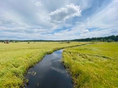 -塞罕坝国家级自然保护区