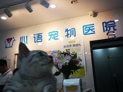 -心语宠物医院·急重症转诊中心·瑞辰华诺(南青路店)