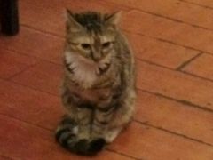 -吉友粥底火锅(方斜路店)