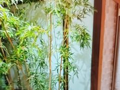 -青水瓦台汤泉(未央店)