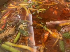 -川道拐耗儿鱼(旗舰店)