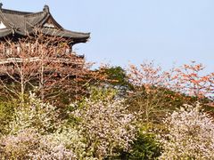 -海珠湖公园