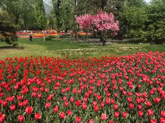 -国家植物园南园