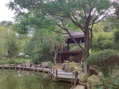 -白马涧龙池景区